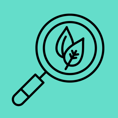 College Essay Coaching: Draft Review